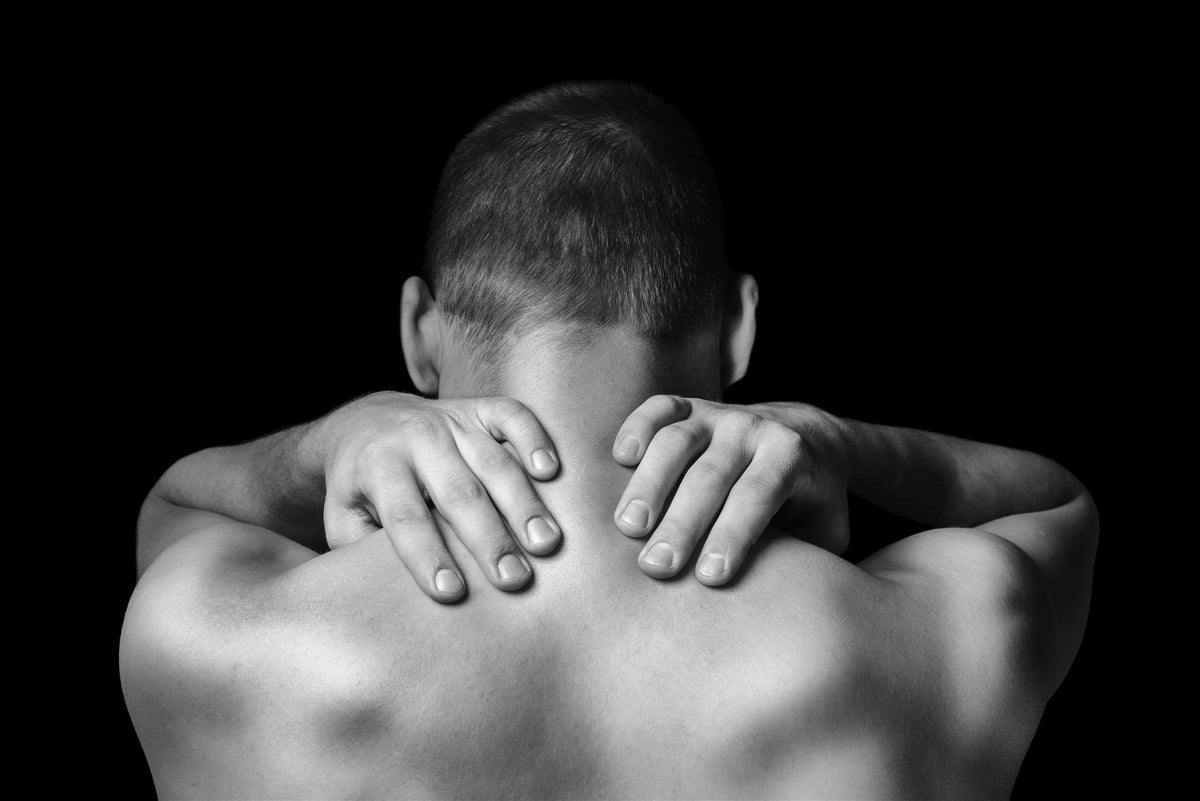 What Exercises Can Help Treat and Prevent Back Pain? Promax Nutrition
