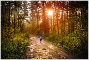 Secrets to Great Morning Workouts