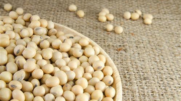 Soy Protein: A Healthier Alternative