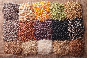 Five Foods to Help You Lose Weight