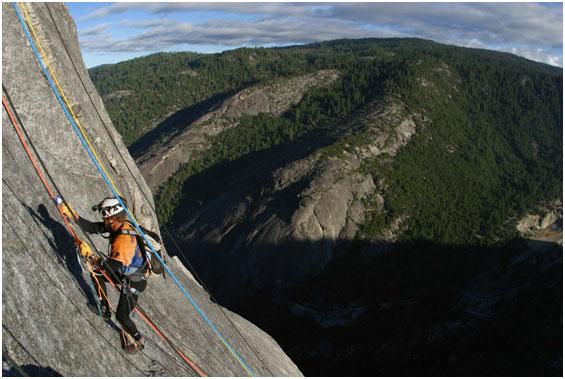 Why You Should Choose Promax for the Quest