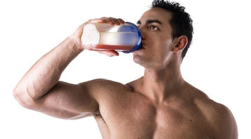 Which Is Better? Protein Shakes or Bars?