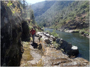 How to Fuel: What to Eat and When Along the Course