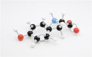 Protein: Your Body's Fuel for Life