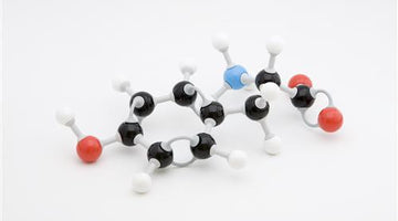 Protein: Your Body's Fuel for Life